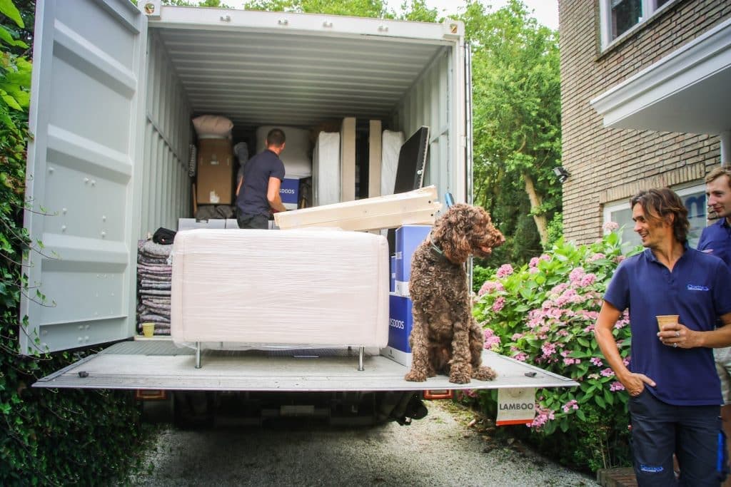 Verhuizers van Oomen laden een ingepakte bank in de verhuiswagen terwijl een hond op de laadklep zit